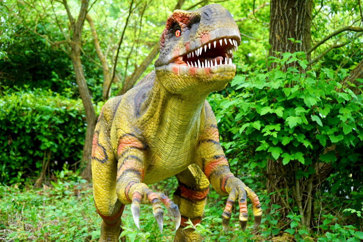 Roarr! Dinosaur Adventure.